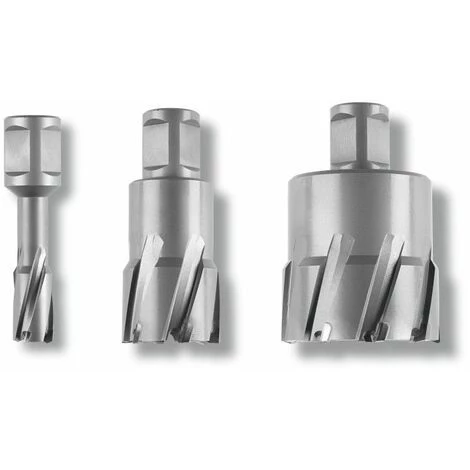 Fein Fraises à Pastilles Carbure Ultra 75 | 3/4 Avec Emmanchement Weldon Perçage 18 Mm - 63127785010 1 Fein Fraises à Pastilles Carbure Ultra 75 | 3/4 Avec Emmanchement Weldon Perçage 18 Mm - 63127785010